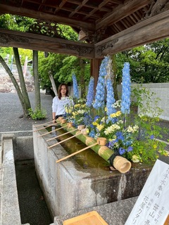 IMG_7337.JPEG